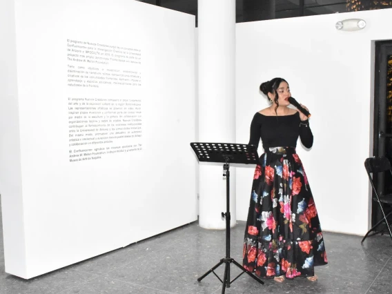 Art Exhibit in Nogales: Impact of Confluencenter